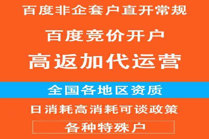 百度推广实战案例：如何精准投放广告